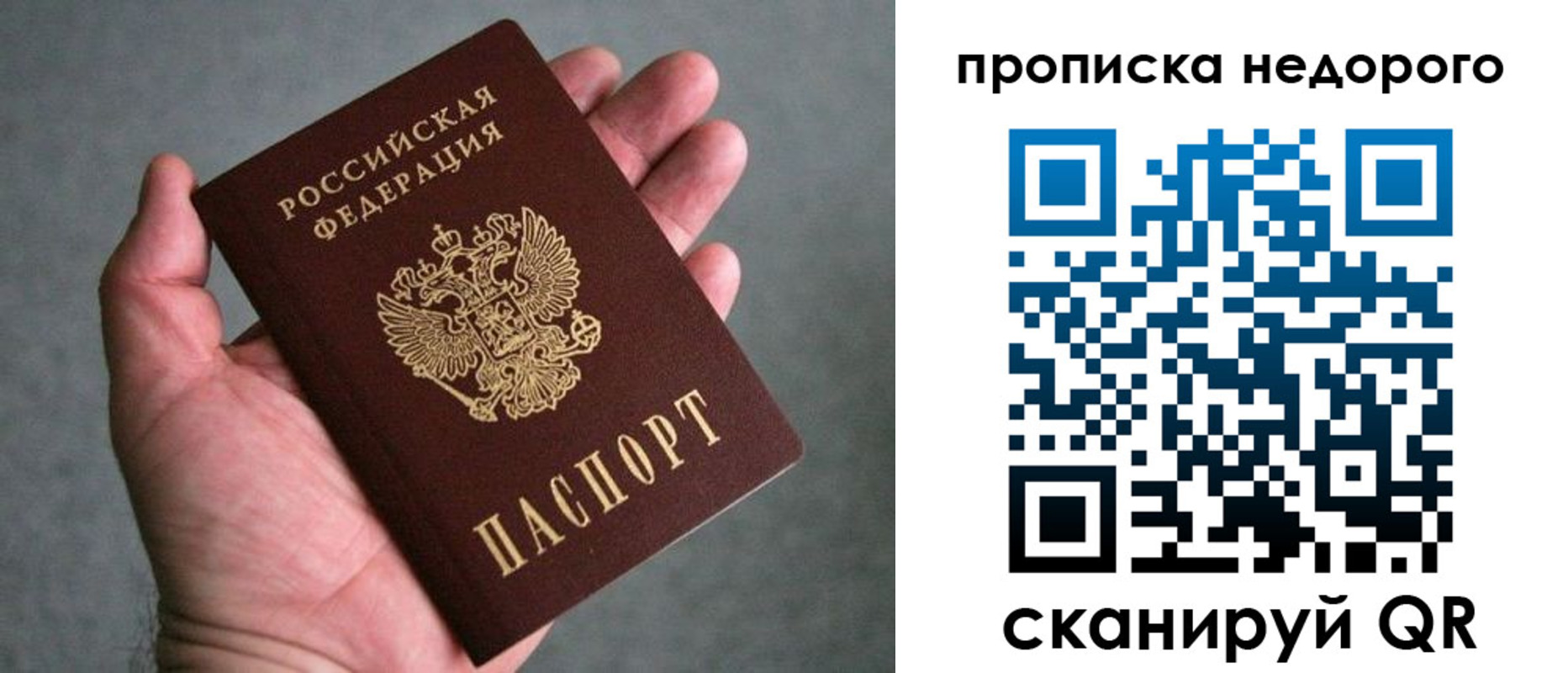 прописка поиск в Сосновом Бору